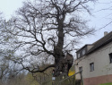 IMG-20260412-WA0002.jpg