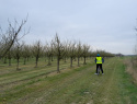 IMG-20260412-WA0013.jpg
