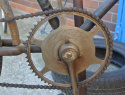 DSC_7313.JPG