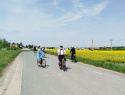 IMG_20250503_114513.jpg