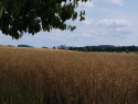 bc49b39d34342bdb-2.jpg