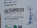IMG-20260412-WA0003.jpg