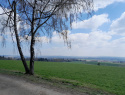 IMG-20260411-WA0009.jpg
