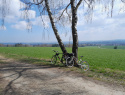 IMG-20260411-WA0008.jpg
