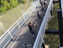 IMG-20240823-WA0106.jpg