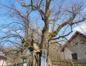 IMG-20260411-WA0019.jpg