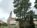 20250710_104434.jpg