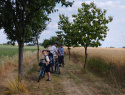 81aa2a842667aad5-2.jpg